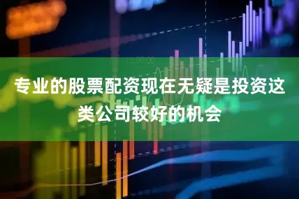 专业的股票配资现在无疑是投资这类公司较好的机会