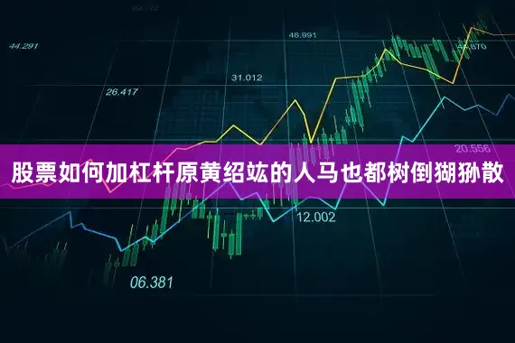 股票如何加杠杆原黄绍竑的人马也都树倒猢狲散
