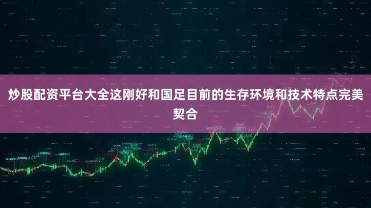 炒股配资平台大全这刚好和国足目前的生存环境和技术特点完美契合